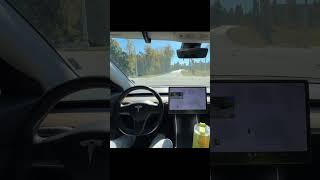 Look Mom! No Hands! 35 Minutes Of Tesla Full Self Driving Supervised #shorts #tesla #fsd #SelfDrive