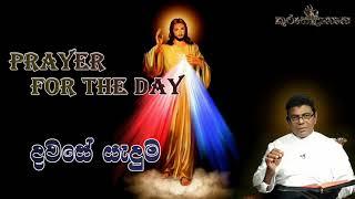 Prayer for the Day (දවසේ යැදුම) නැඟිට ළදරුවා ද උන් වහන්සේගේ මෑණියන්ද රැගෙන මිසරයට ගොස් එහි නවතින්න.