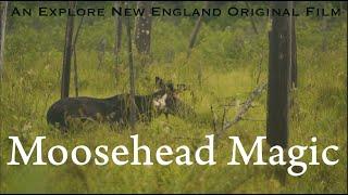 Moosehead Magic: Full Film