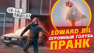 EDWARD BIL  ЗЛОЙ ГОЛУБЬ ПРАНК / НАПАЛ НА МАШИНУ / реакция людей на ОГРОМНУЮ ПТИЦУ