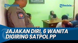 NEKAT JAJAKAN DIRI DIGIRING SATPOL PP, 6 Wanita ini Nekat Kembali di Warung Remang remang