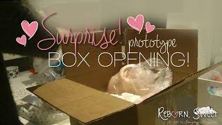 PROTOTYPE Box Opening Sculpt *Reborn, Sweet*