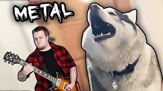 HUSKY meets METAL (with viceugenio)