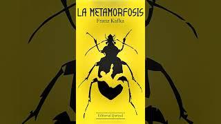 THE METAMORPHOSIS | SPOILER-FREE SUMMARY