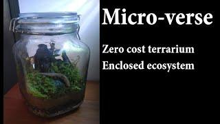 My own micro-verse: creating an enclosed ecosystem within a jar.