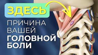 Головная боль. Головокружение. Боль в шее. Одна причина, убрав которую, вы не вспомните про таблетки