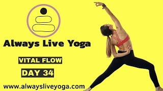 Online Yoga Classes I Always Live Yoga Online Interactive Yoga Classes