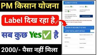 PM Kisan Label Problem | PM Kisan Label Status | PM Kisan ka Paisa Kaise Check Kare