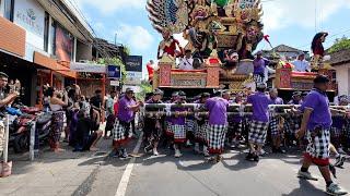 Pelebon Cok Istri Rai Darmawati, in Puri Agung UBUD