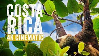 Costa Rica in Ultra HD 4K Cinematic: Where you find the best wildlife