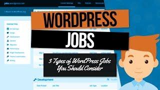 3 Types of WordPress Jobs You Should Consider