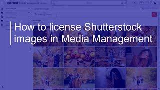 How to license Shutterstock images | OpenText Media Management