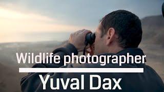 Yuval Dax - Wildlife photography Israel