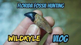 Florida Fossil Hunting WILDKYLE VLOG | Finding Shark Teeth and Other Fossils in the Creek!