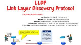 Link Layer Discovery Protocol (LLDP)