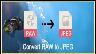 Convert RAW Files to JPEG in Adobe Photoshop