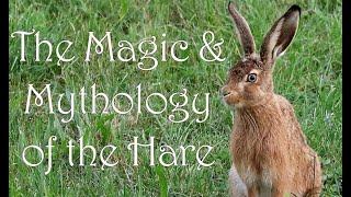 The Magic & Mythology of the Hare