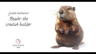 Building Balance: A Guided Meditation with the Spirit of the Beaver