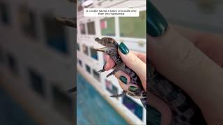 A couple saved a baby crocodile and then this happened #animalshorts #shortvideo