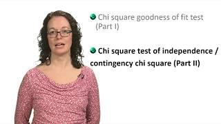Chi square test - part 2 with Lindsey Leach