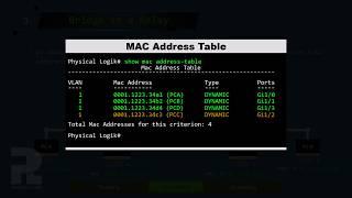 How Switches Really Process Frames || Hub And Bridge And Switch || VLAN 2