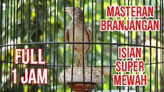 MASTERAN BRANJANGAN SUPER MEWAH FULL||DUNIA BURUNG INDO