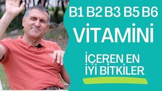 B1 VİTAMİNİ B2 VİTAMİNİ  B3 VİTAMİNİ  B5 VİTAMİNİ B6 VİTAMİNİ NELERDE VAR NE İŞE YARAR