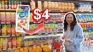Grocery Shop with me *Prices included* NYC-NJ area, my monthly food & eating out budget
