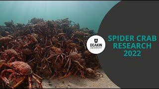 Deakin University Spider Crab research  (long version)