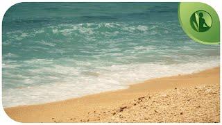  Som das Ondas do Mar para Acalmar a Mente com Sons da Natureza