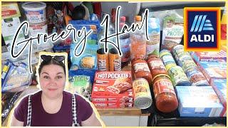 AUGUST GROCERY TOTALS | 1-Week Grocery Haul & Meal Plan | ALDI HAUL