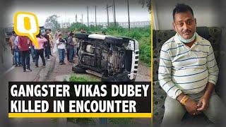 Gangster Vikas Dubey Killed in Encounter, Day After His Arrest