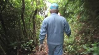 The tombs of White Beach Naval Facility, Okinawa