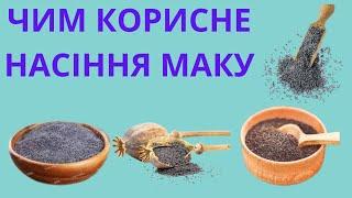 КОРИСТЬ НАСІННЯ МАКУ ДЛЯ ОРГАНІЗМУ ЛЮДИНИ.