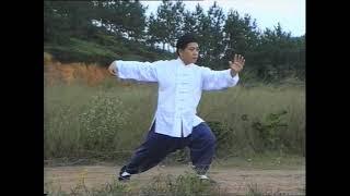 Yang Style Tai Ji Quan (Tai Chi) Long Routine (85 techniques) - Fu Qing Quan