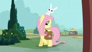 Fluttershy - Oh! Oh goodness, I, I hope I'm not interrupting anything.