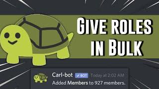 Give Roles to All in one Command | Carl bot | Techie Gaurav