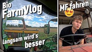 Weizen ist ab & Dinkel lohnt endlich - Stoppel Bearbeitung - Mulchen & mehr / Vlog 112