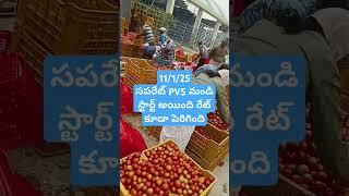 Madanapalle Tomato market price today  #crkvideos16 #todaytomatorate