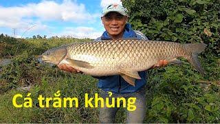 Fishing to promote GIANT CARP 1X natural lake - Surprising fish | December 26, 2023