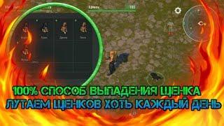 Где 100% найти щенка! Самый высокий шанс найти щенка в игре Last day