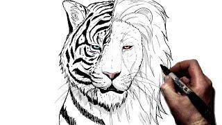 How To Draw A Tiger/Lion | Step By Step