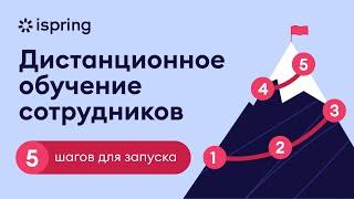 Как запустить онлайн-обучение в компании. Пошаговая инструкция