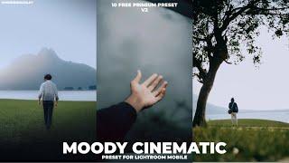 Mr Yuzdan Moody Cinematic v2 | Free 10 Lightroom Mobile Preset