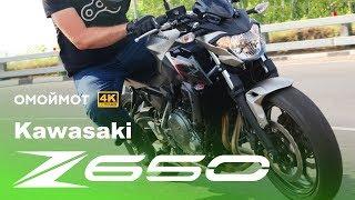 Kawasaki Z650: Повелитель мух | обзор мотоцикла Кавасаки от Омоймот