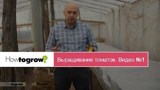 Выращивание высокорослых томатов в теплице. Видео 1