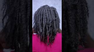 How to moisturize your Mini Twists. #minitwists #naturalhairgrowthtips #shorts