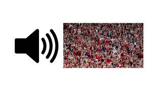 Crowd Stadium Sounds (1 Hour) - Sound Effect | ProSounds