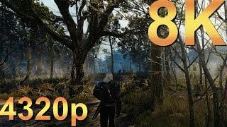 The Witcher 3 8K Ultra 4320p Gameplay High Resolution PC Gaming 4K | 5K | 8K and Beyond