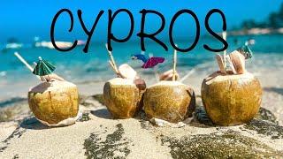 Кипр. Пляжный отдых в Протарасе и поездка в горы Троодос